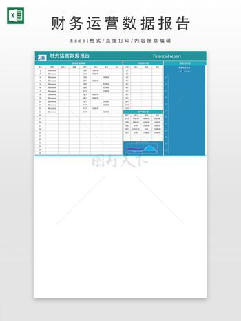 財務(wù)運營數(shù)據(jù)報告表