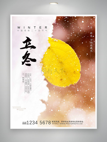 雪花黃色樹葉寫實風(fēng)立冬節(jié)氣海報