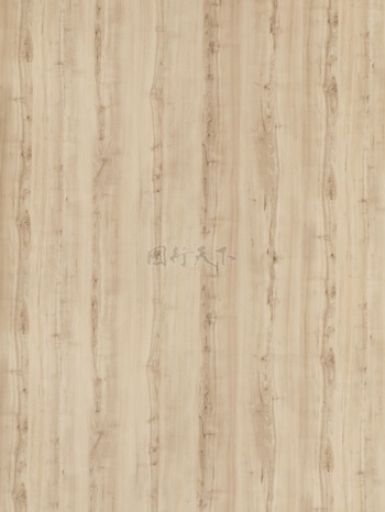 桦木木纹长幅纹理背景图案贴图原木色