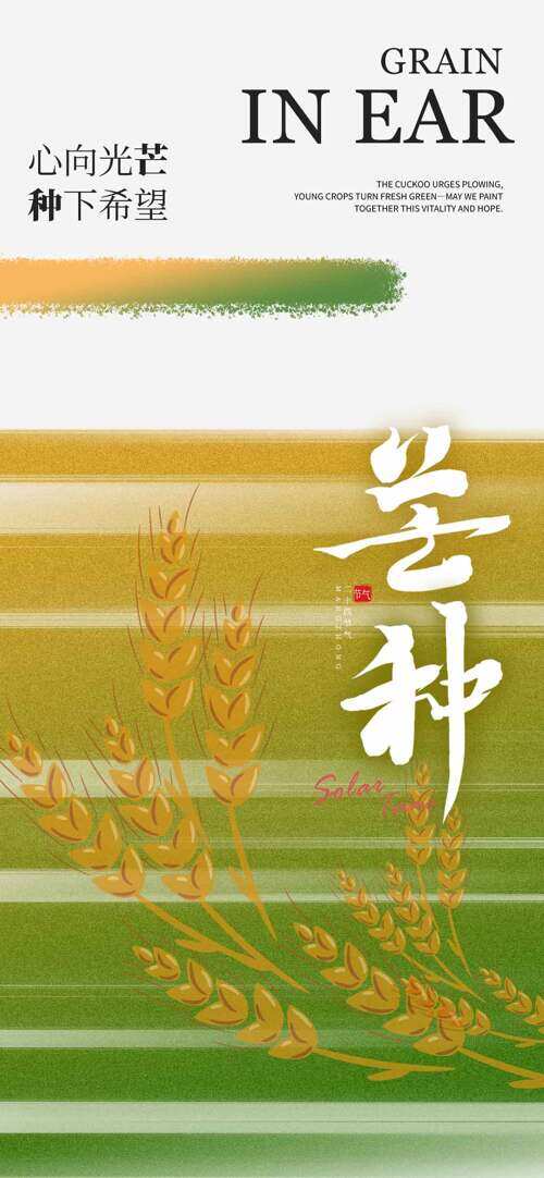 心向光芒种下希望麦穗插画芒种传统节气海报